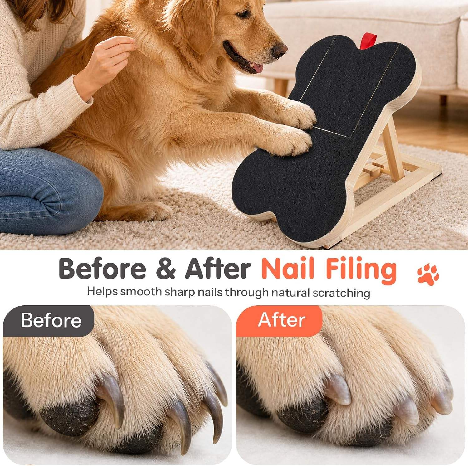 แผ่นขัดเล็บสุนัขไม้พร้อมแผ่นรอ - Woodworking File บทวิจารณ์และราคา