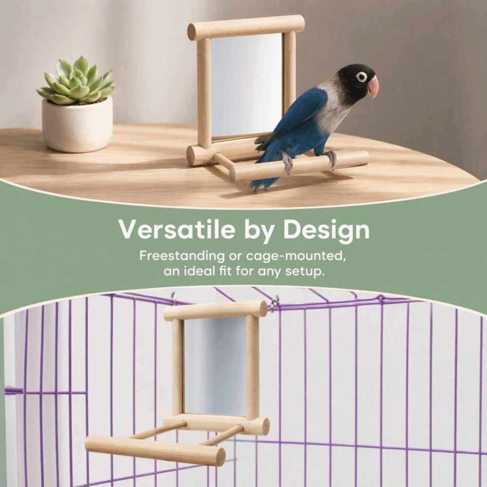 กรงนกไม้พร้อมแผงกระจกติดตั้งใน - Woodworking Zone บทวิจารณ์และราคา